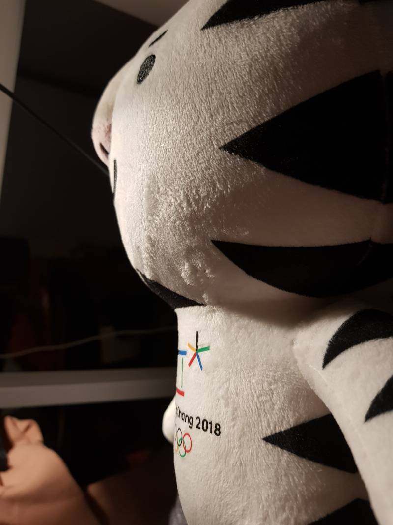 지금 내 옆에 누워있는 수호랑 볼 사람ㅠㅠㅠㅠㅠ | 인스티즈