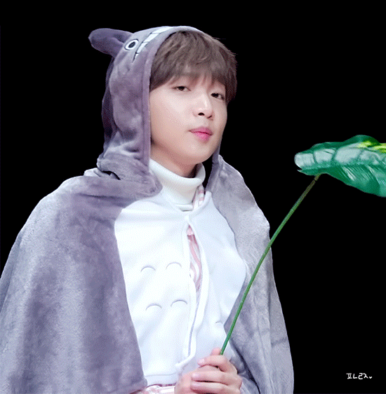 정세운 팬싸 | 인스티즈