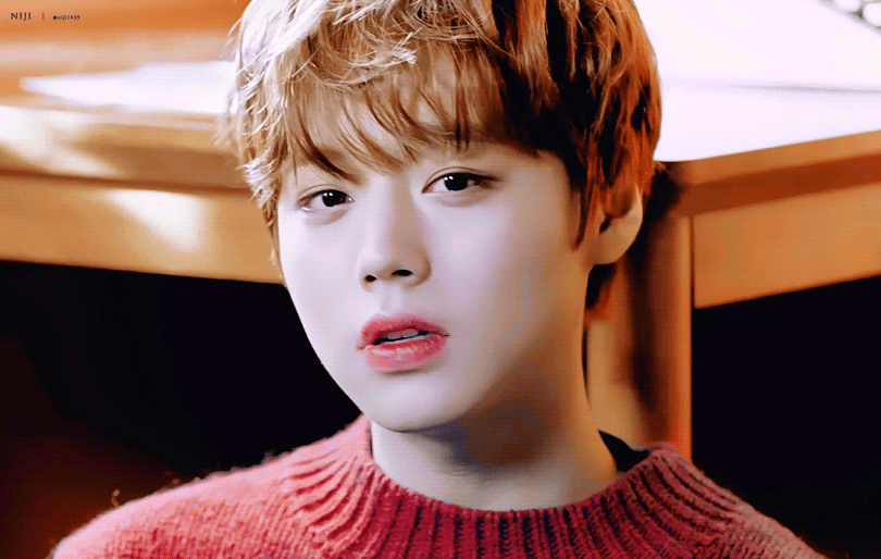 워너원 노래 나왔어요ㅠㅠㅠㅠㅠ | 인스티즈