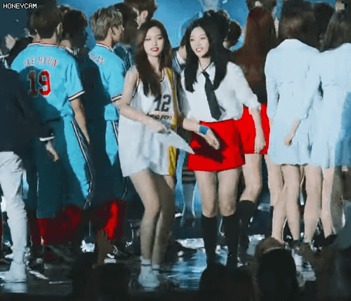 이거 ㅇㅍ에서 봤는데 너무 귀여워 ㅋㅋㅋㅋㅋㅌㅋㅋ | 인스티즈