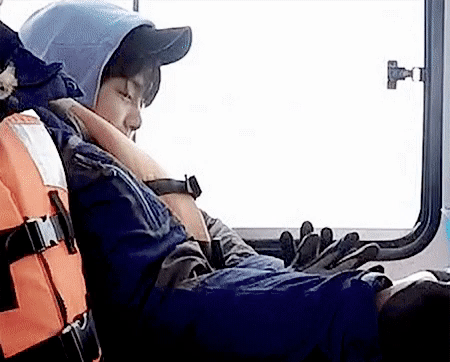 다들 정글에서 귀엽지만 짠했던 뉴종현을 봐줬으면.. | 인스티즈