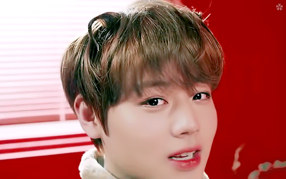 박지훈 머리 이렇게 만들어 주신 분 감사합니다 | 인스티즈