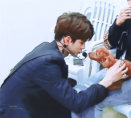 댕댕이보다 못한 삶.... | 인스티즈