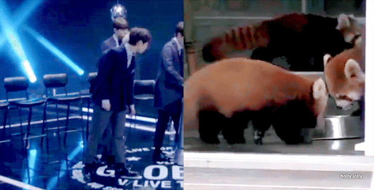 넘 귀엽자나 ㅠㅠㅠㅠㅠㅠㅠㅠㅠㅠㅠㅠㅠ | 인스티즈