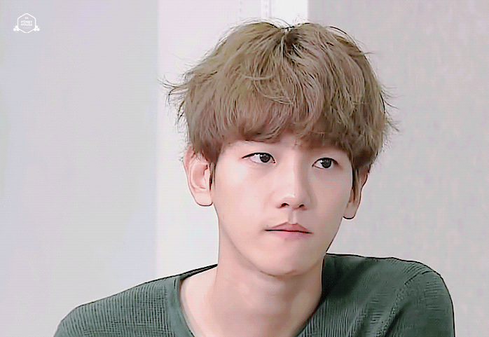 나 취향 소나무래 맞는 거 같아? | 인스티즈