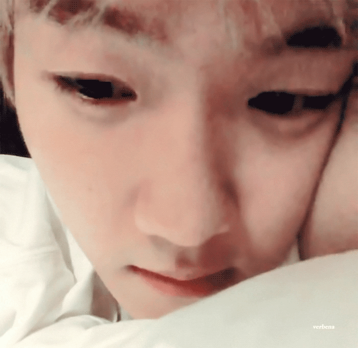 백현이는 진짜 강아지가 아닐까..? | 인스티즈