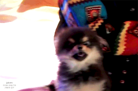 방탄은 말랑이 7명들의 모임이야 | 인스티즈