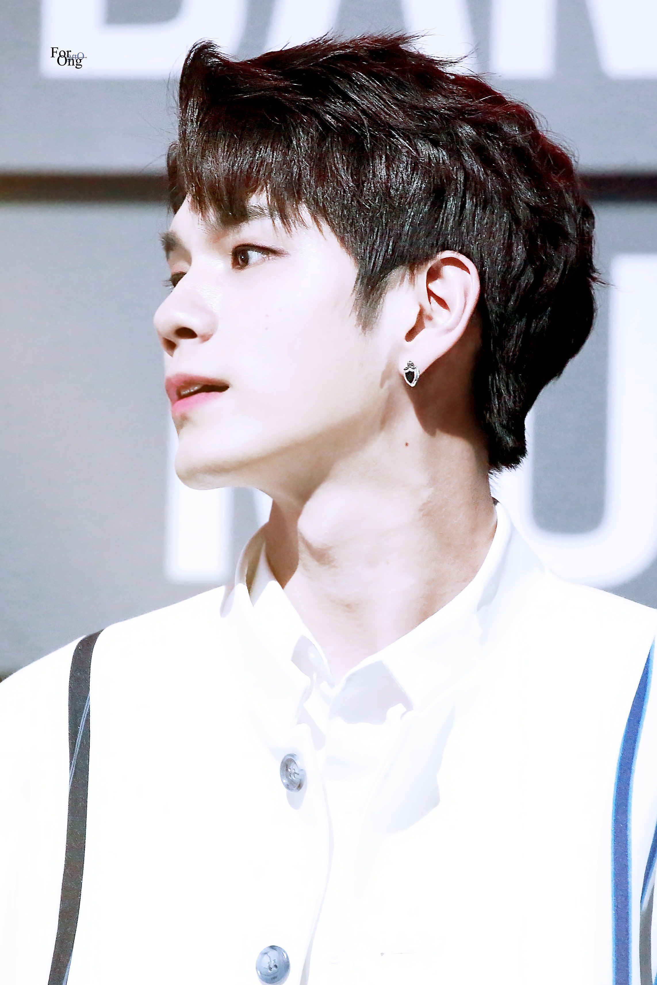 칠레 뮤뱅과 베를린 뮤뱅의 떵우 | 인스티즈