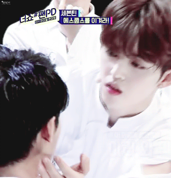 뭐야 에스쿱스 이거 뭐냐 | 인스티즈