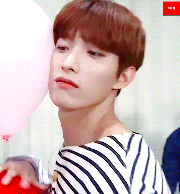 [방탄소년단] 2019(감염자들)_01 | 인스티즈