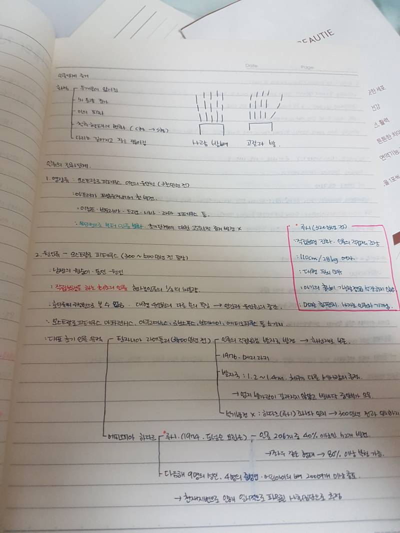 대학원 익 학부생 때 필기 찾았다 | 인스티즈