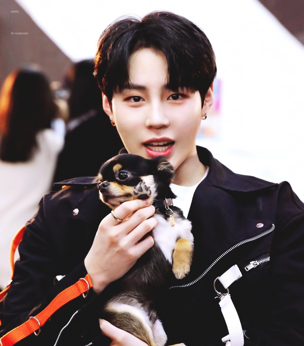 하성운 강아지한테 하는 거 너무 서윗해,, | 인스티즈