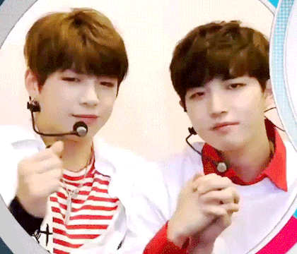 워너원은 11명중 동갑이 둘씩 네쌍이나 된다는게 넘 신기해 | 인스티즈