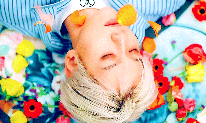 대충 엑소 자랑한다는 글 (사진 🐶많음) | 인스티즈