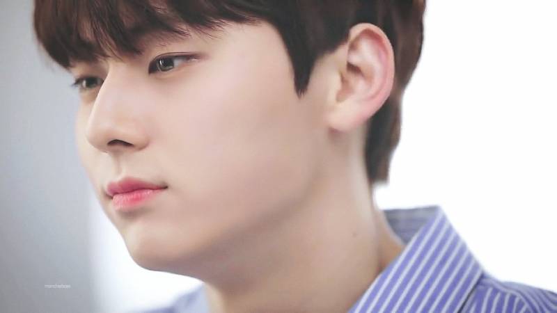 [워너원/황민현] To. Heart 05 | 인스티즈