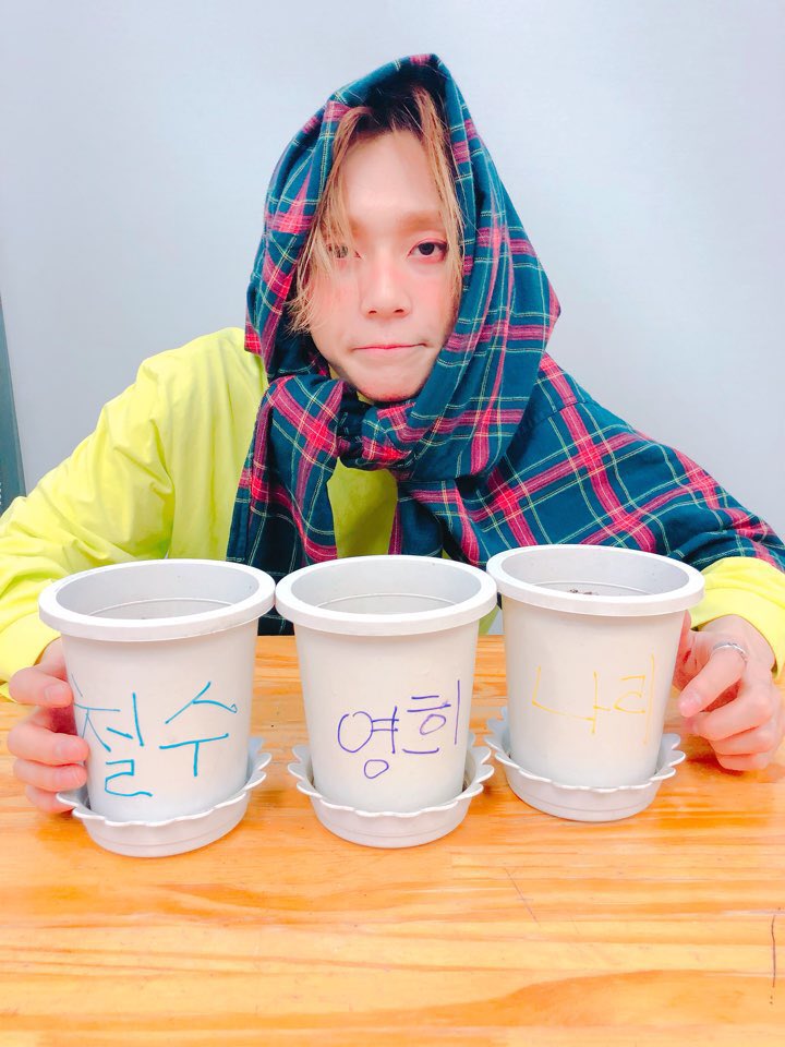 우리애가 키우는 식물 좀 봐 ㅋㅋㅋㅋㅋ | 인스티즈