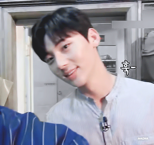 이상형은 원우 영케이 황민현 쟈니 텐 나름 소나무? | 인스티즈