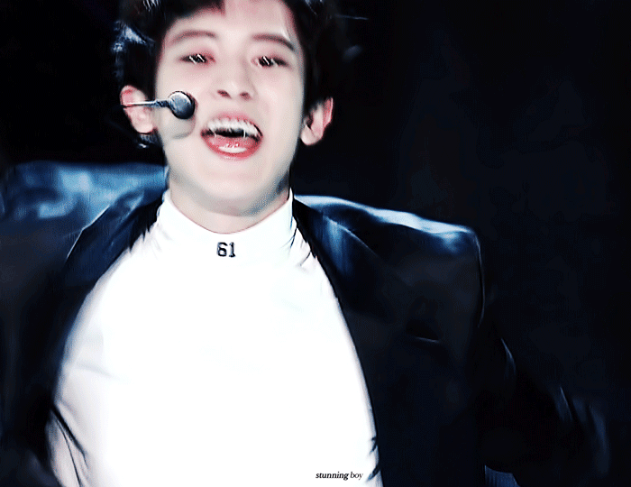 대충 엑소 자랑한다는 글 (사진 🐶많음) | 인스티즈