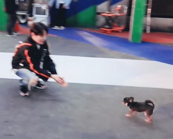 하성운 강아지한테 하는 거 너무 서윗해,, | 인스티즈