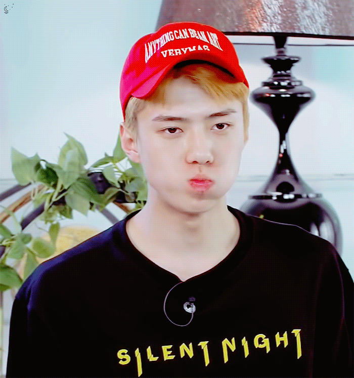 진짜 오세훈 귀여운거 말로 설명못해 | 인스티즈