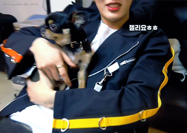 하성운 강아지한테 하는 거 너무 서윗해,, | 인스티즈