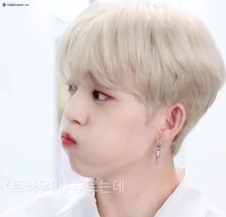 세븐틴 95년생 맏형들 🍒🐿🦌 | 인스티즈