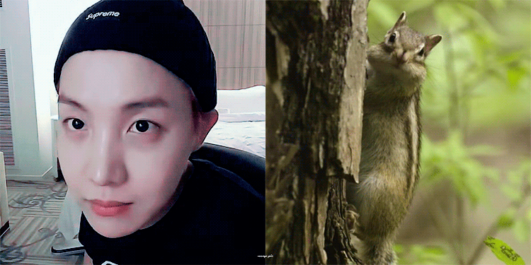 인생이 시트콤인 제이홉 모먼트도 보고가라 다들ㅋㅋㅋㅋㅋㅋㅋㅋㅋㅋㅋㅋㅋ | 인스티즈