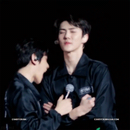 백현이는 진짜 강아지가 아닐까..? | 인스티즈