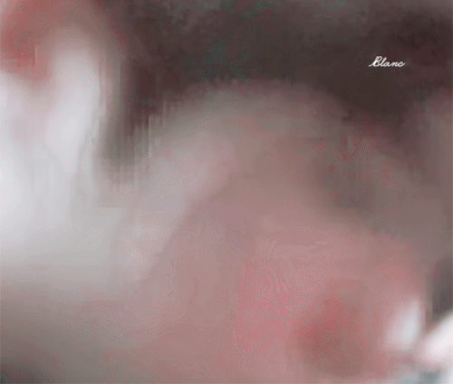 [이동혁/정재현] Paper Tiger, Scissors Rabbit (Re:11 | 인스티즈