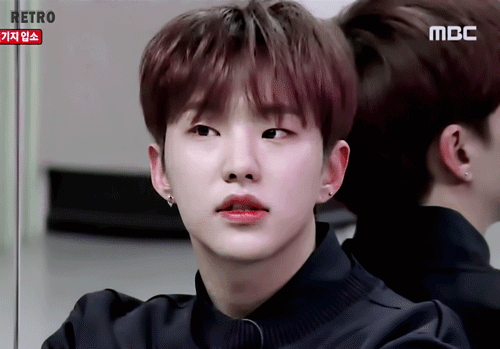 세븐틴 호시 사실 눈 보면 여우상인데 햄찌 모에화되는 이유 | 인스티즈