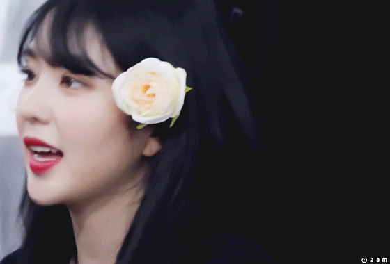 아이린이 인기 많고 코어팬도 많은 이유 | 인스티즈