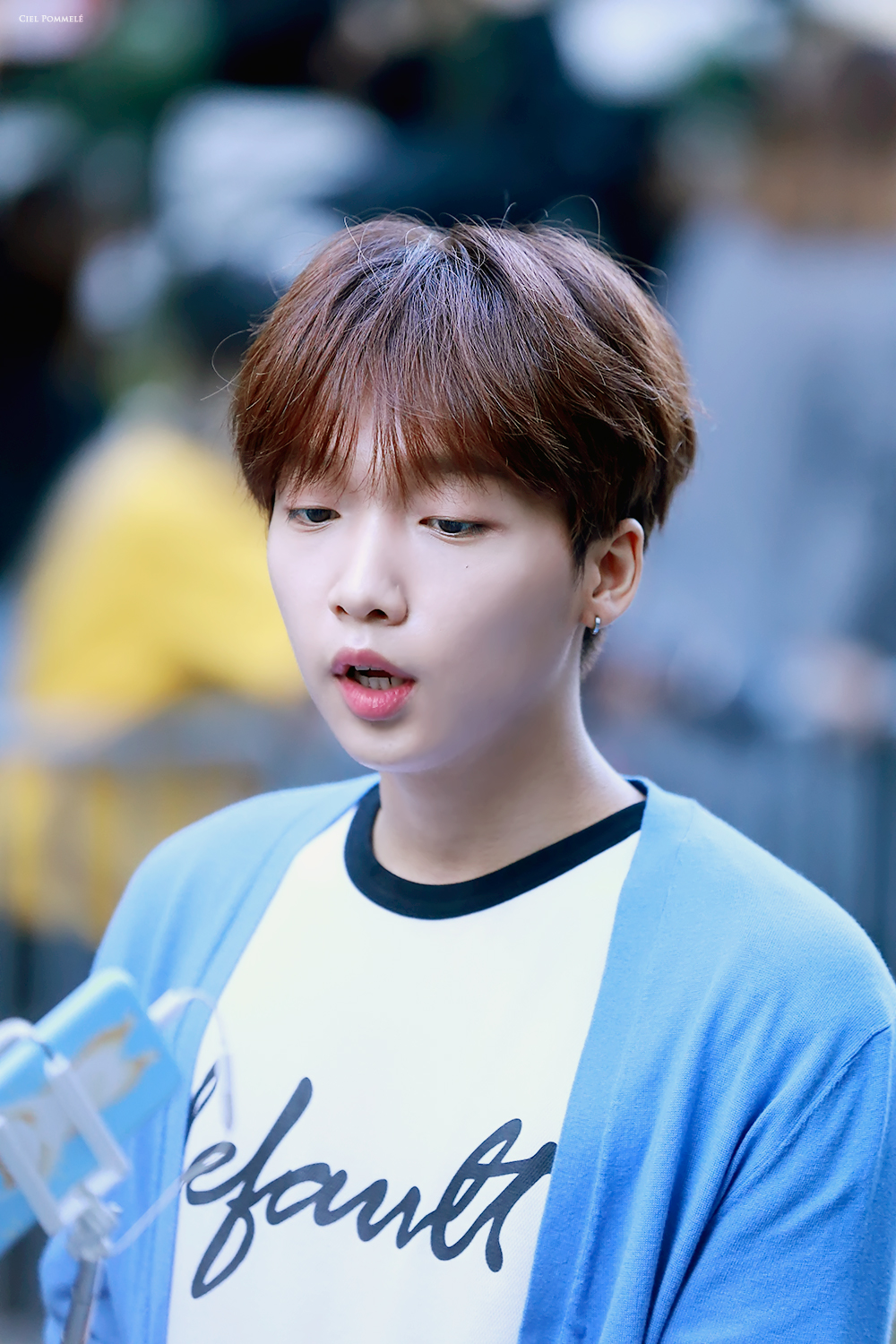 [잡담] 우리애 아랫니 고양이 이빨이야 | 인스티즈