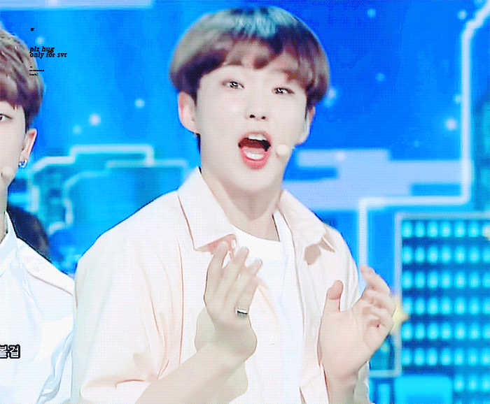 아무리 봐도 햄찌지만 꿋꿋하게 자긴 호랑이라고 믿고 있는 아이돌 | 인스티즈