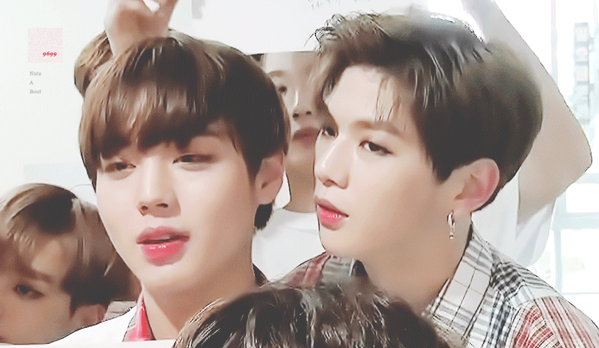 ㄱ 이쯤에서 녤윙 1차 | 인스티즈