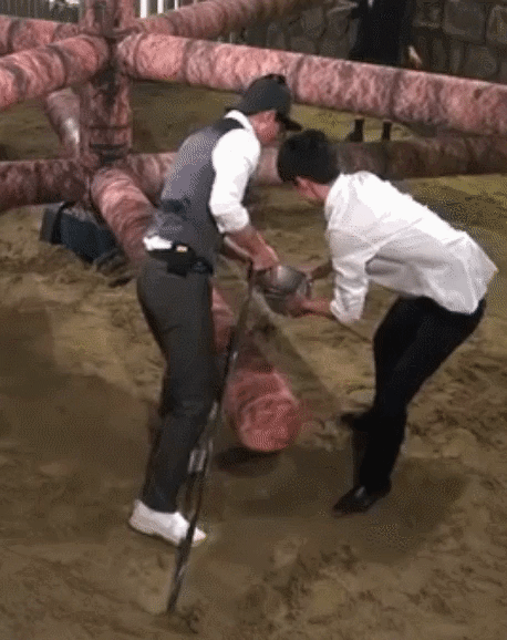 내 팬아저짤은 이거임 | 인스티즈