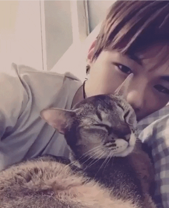 강다니엘 데뷔전에도 인스타인기 많았나봄 | 인스티즈