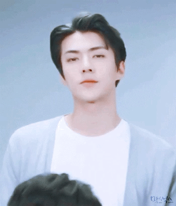 세훈이가 무슨상이냐고 물으신다면 | 인스티즈