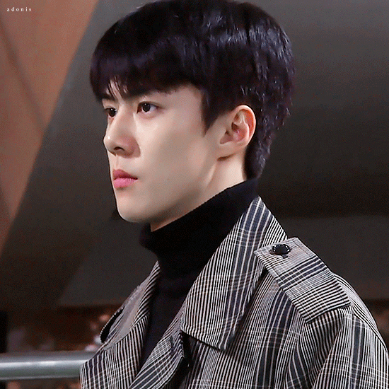 내 취향 소나무야⁉️⁉️ | 인스티즈