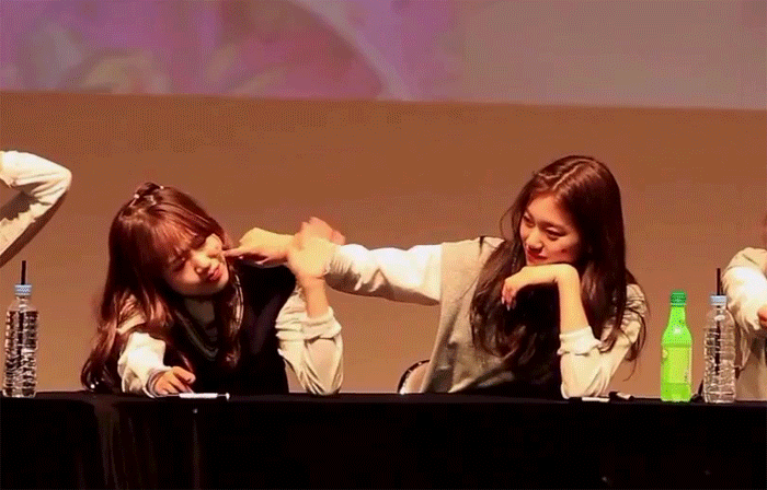 가장 의지하는 최고의 매니저이자 사진기자이자 친구인 도댕 | 인스티즈