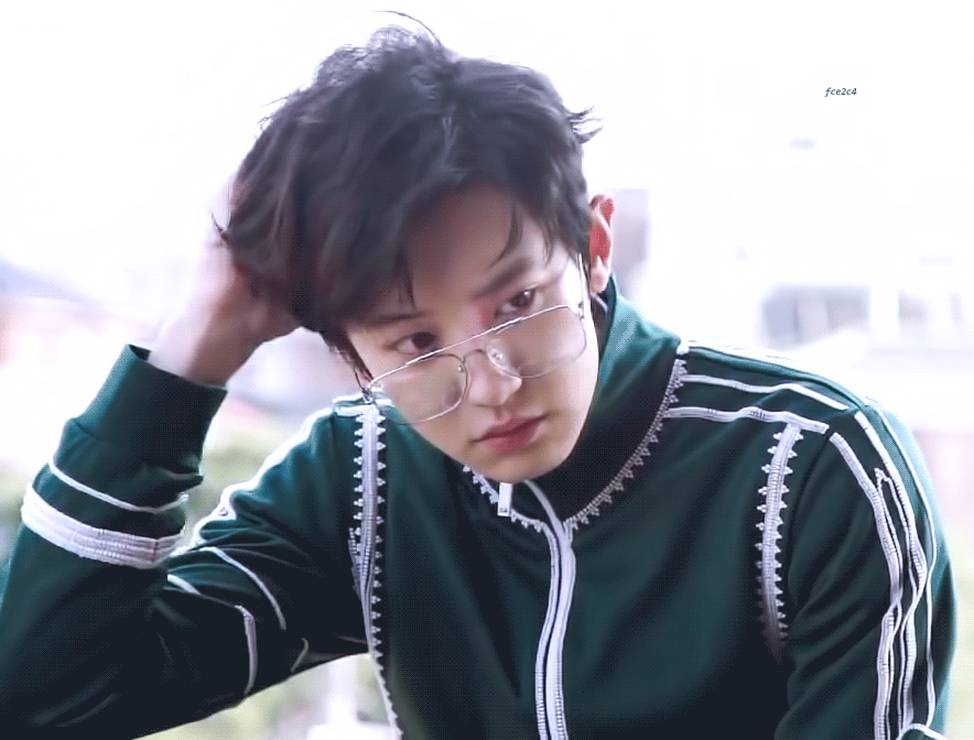 대충 엑소 자랑한다는 글 (사진 🐶많음) | 인스티즈