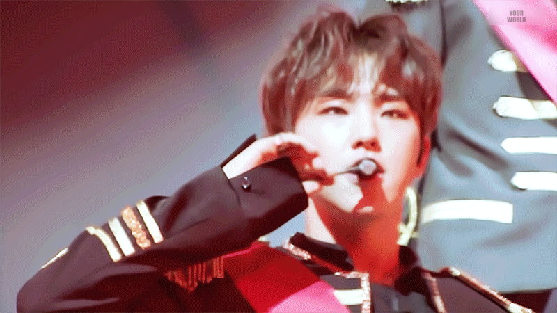 [잡담] 본진 호랑이 소개시켜줘 | 인스티즈