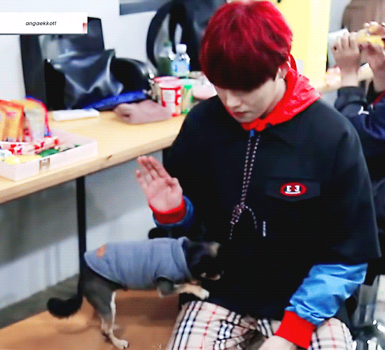 하성운 강아지한테 하는 거 너무 서윗해,, | 인스티즈