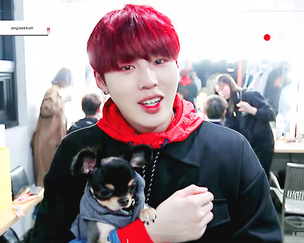 하성운 강아지한테 하는 거 너무 서윗해,, | 인스티즈