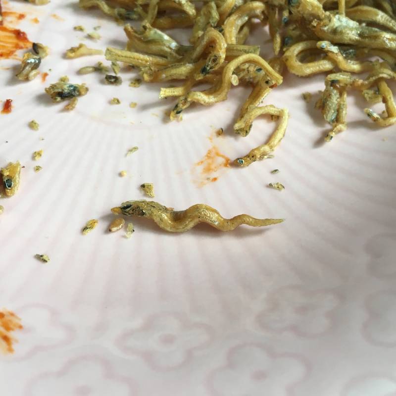 멸치먹는데 이거바ㅋㅋㅋㅋㅋ | 인스티즈