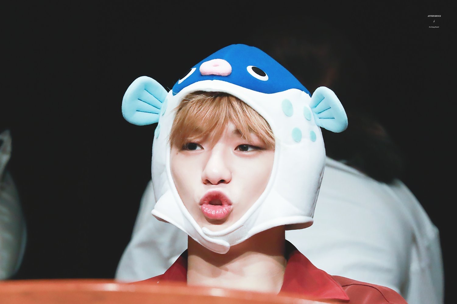 강다니엘만 모름ㅠㅜ | 인스티즈