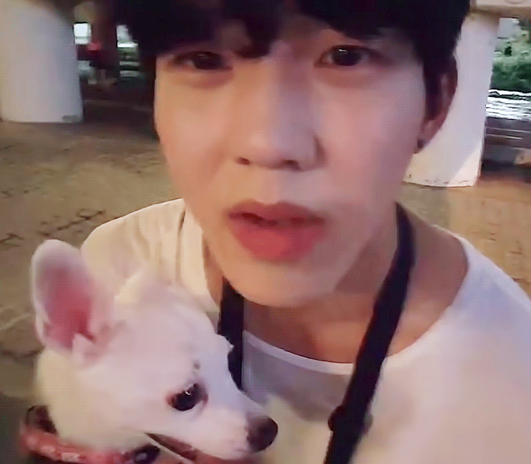 데이식스 노래 너무 좋아 | 인스티즈