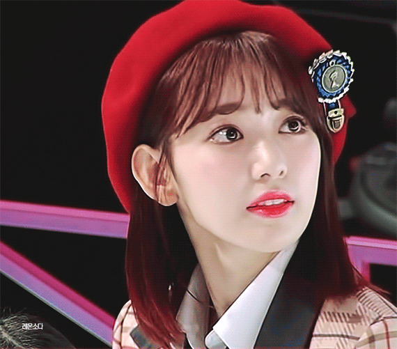 ë² ë ëª¨ ì¬ì¿ ë¼ì ëí ì´ë¯¸ì§ ê²ìê²°ê³¼