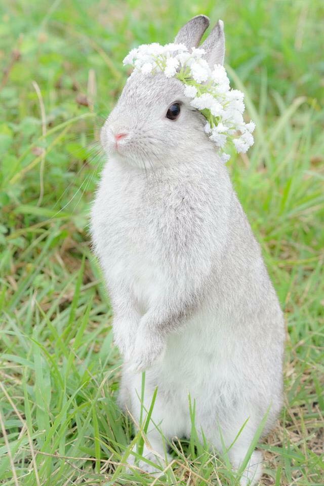 김우석 짤털한다 ㄹㅇ 레전드짤만 모음 | 인스티즈