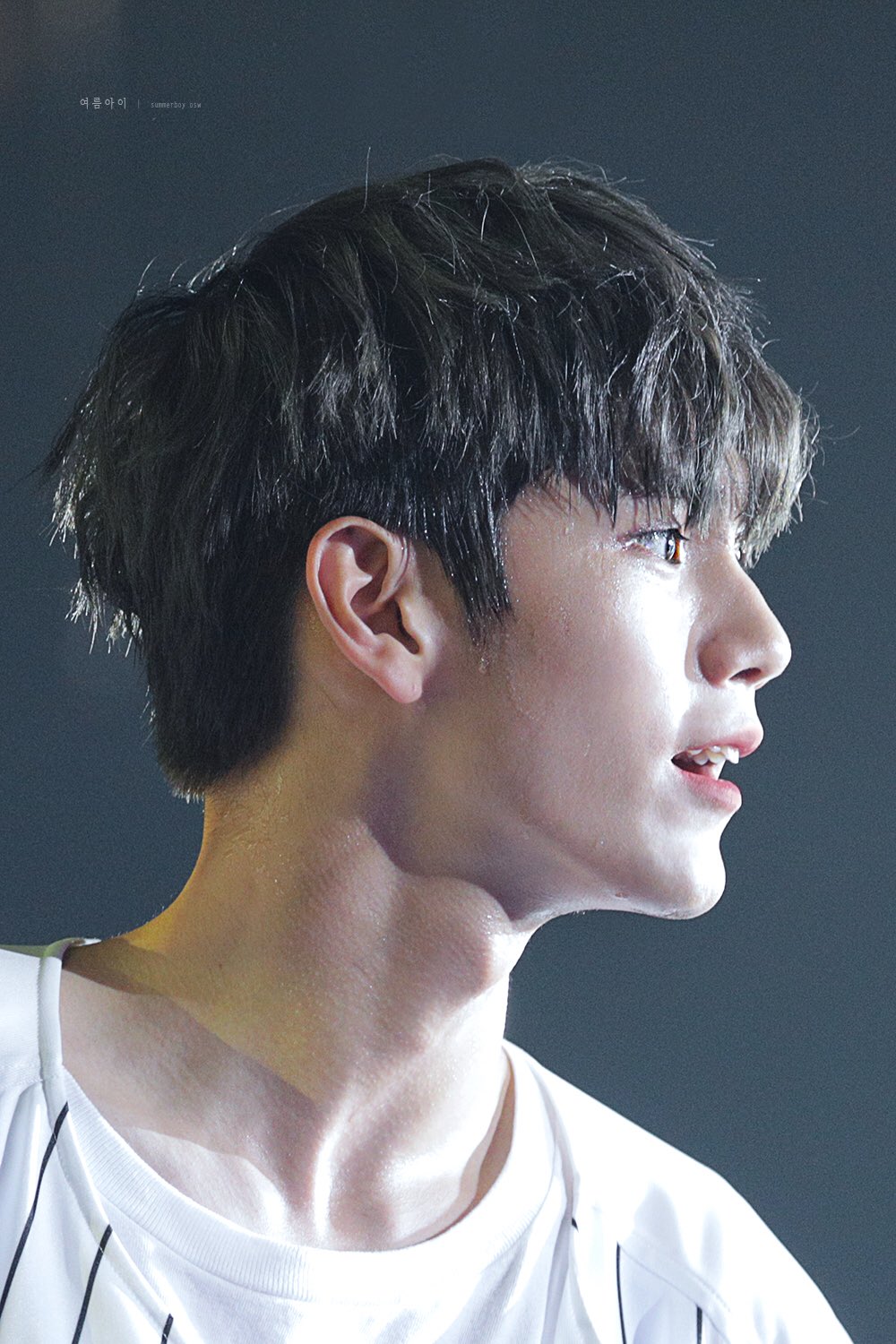 💕내가 사랑하는 옹성우 분위기💕 | 인스티즈