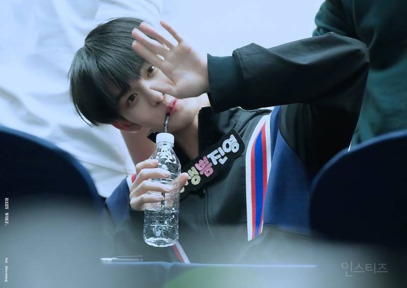 ì‹ ê¸°í•˜ì§€ë§Œ ìž˜ ëª¨ë¥´ëŠ” í”„ë¡œë“€ìŠ¤101 ì‹œì¦Œ 1,2 ë°ë·”ì¡°ì˜ ê³µí†µì .jp | ì¸ìŠ¤í‹°ì¦ˆ